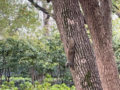 -徐家汇源景区-衡山公园