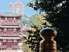 -庐山风景名胜区-东林大佛