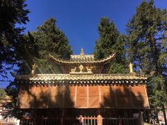 -达仓郎木寺院