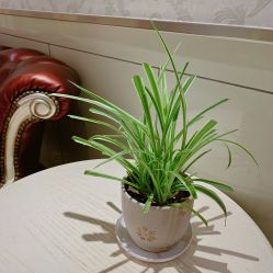 -北京俪婴妇产医院(朝阳大悦城店)