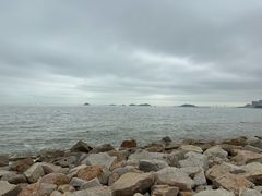 -野狸岛