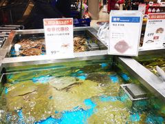 水产区-盒马鲜生(189购物中心店)