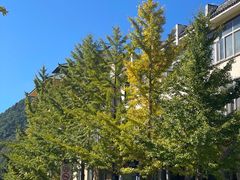 -洛阳白云山景区