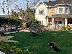 -J Create城市露营咖啡·简餐·宠物(上海动物园店)