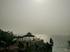 -大连金石滩滨海国家地质公园