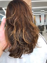 -潘多拉Hairsalon