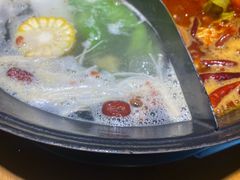 -阳阳老火锅(小南门店)