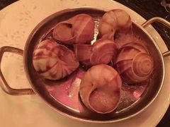 -金蜗牛