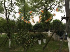 -呼吸森林·生态农庄农家乐私房菜