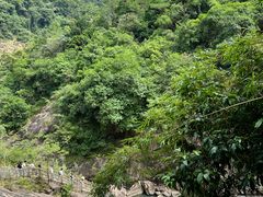 -广州白江湖森林公园