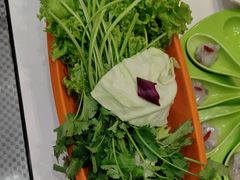 -德龙火锅(松源街直营店)