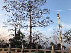 -高榜山景区