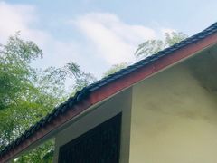 -大渡口区义渡公园