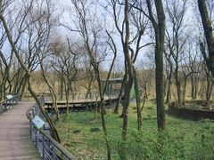 -西湖风景区-江洋畈生态公园