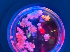 -太平洋海底世界