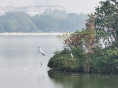 -海珠湖公园