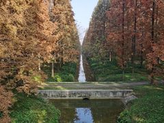 -黄海国家森林公园