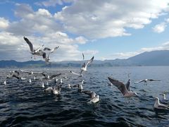 -泸沽湖里格半岛