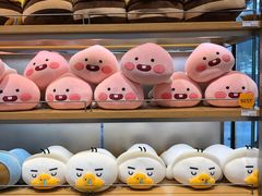 -KAKAO FRIENDS(弘大店)