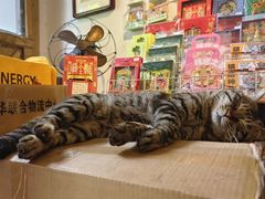-正阳书局(西四南大街店)