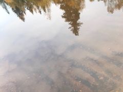 -五营国家森林公园