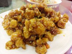 -林之六八·6886大连老菜馆