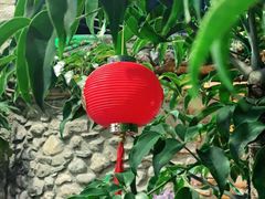 -尽善百年古院餐厅(王家老宅店)