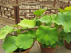 -湘子庙