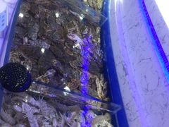 -澜悦港海鲜体验主题餐厅