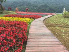 -广州市石门国家森林公园