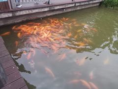 -枫香湖儿童公园
