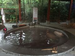 -天目湖御水温泉·度假酒店