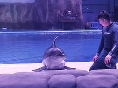 -华夏文旅西安度假区