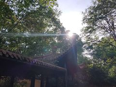 -赭山公园
