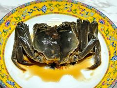 -新光酒家·河豚·海鲜·蟹料理(浦东店)