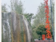 -合肥滨湖国家森林公园