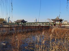 -莲花池公园