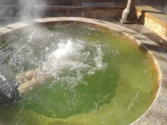 -春晖园度假酒店温泉