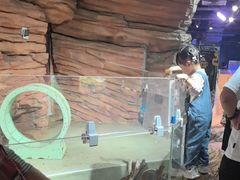 -正佳雨林生态植物园