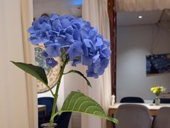 -伊斯坦布尔土耳其清真咖啡餐厅