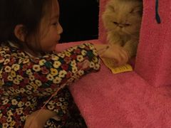 -猫色咖啡·猫咖