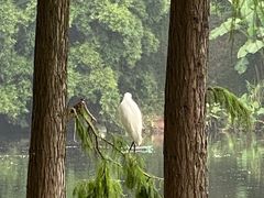 -重庆彩云湖湿地公园