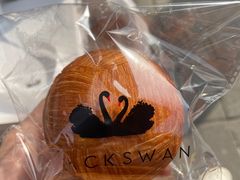 -BLACKSWAN黑天鹅(环球店)