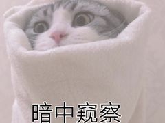 -潘国仙耳光馄饨(黄家阙路店)