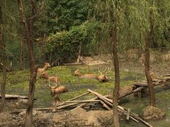 -溱湖国家湿地公园