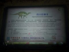 -自贡恐龙博物馆