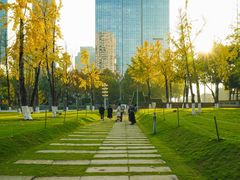 -重庆市江北嘴中央商务区中央公园