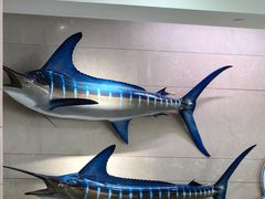 -贝林大翅鲸简餐厅(国家海洋博物馆店)