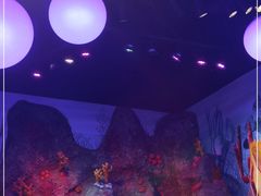 -沈阳海洋探索中心