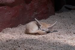 -Zoolung Zoolung动物主题公园(海信广场店)